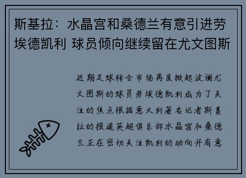 斯基拉：水晶宫和桑德兰有意引进劳埃德凯利 球员倾向继续留在尤文图斯